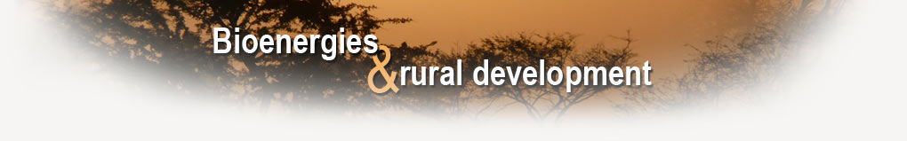 Bioenergy and rural development
