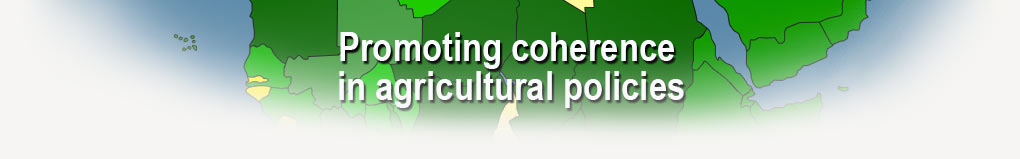 Promoting coherence in agricultural policies